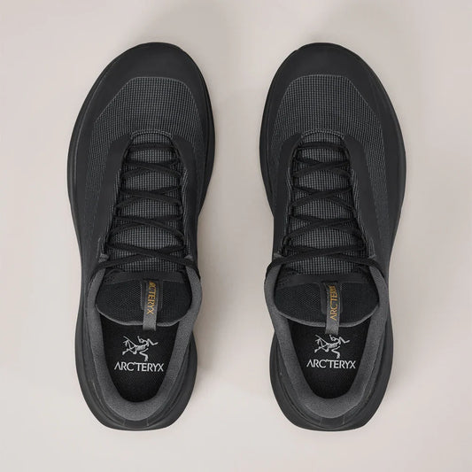 Souliers de course en sentier Arc'teryx Norvan LD 4 GTX (hommes)