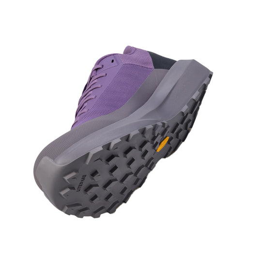 Souliers de course en sentier Arc'teryx Norvan LD 4 (hommes)