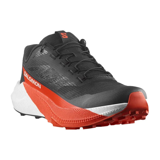 Souliers de course Salomon Pulsar (hommes)