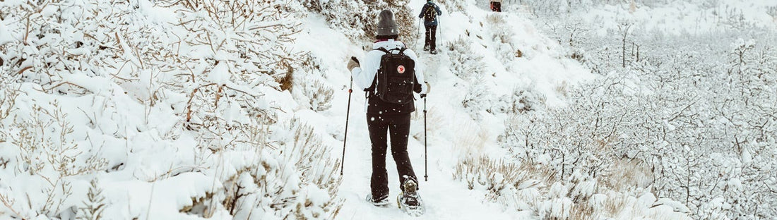 Comment choisir ses raquettes à neige