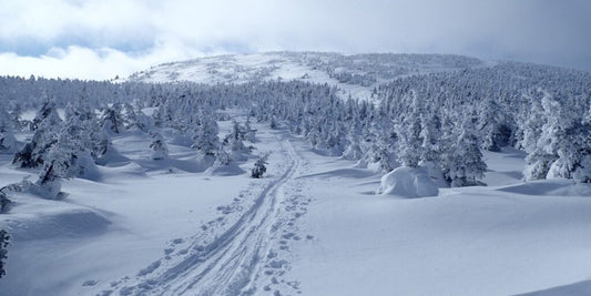 Mes 5 plus beaux trajets de ski de fond hors-piste à vie