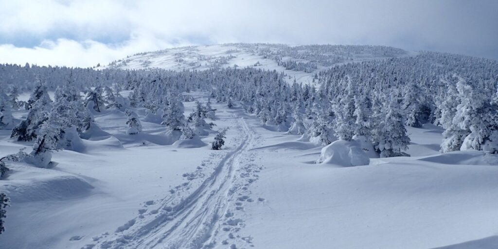 Mes 5 plus beaux trajets de ski de fond hors-piste à vie