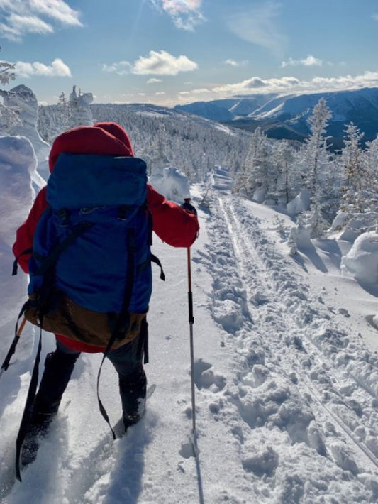 Départager les différents types de ski