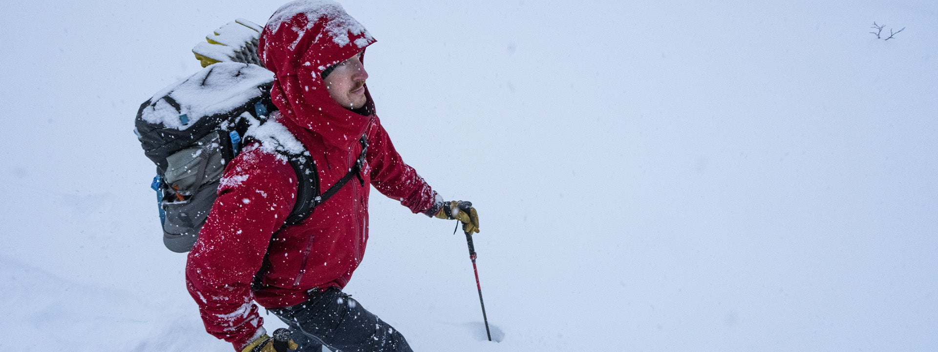 Bâtons pour la raquette