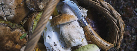 Canifs, couteaux et outils