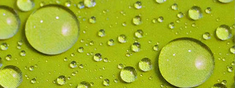 Care Products & Essentials