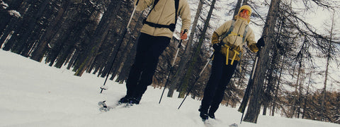 Ski de fond hors-piste