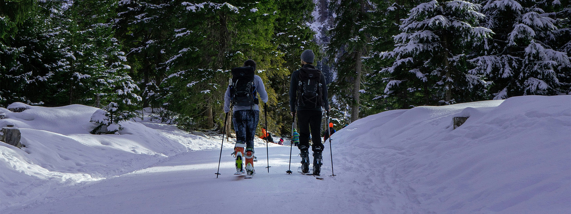 Skis de randonnée alpine