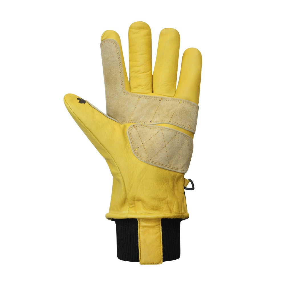 Gants Auclair Western OPS