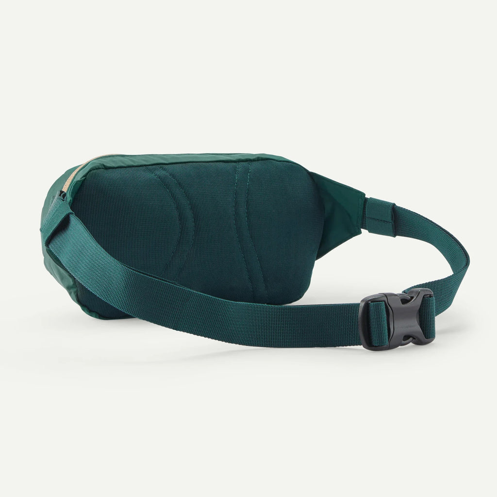 Sac de taille Patagonia Terravia Mini Hip Pack