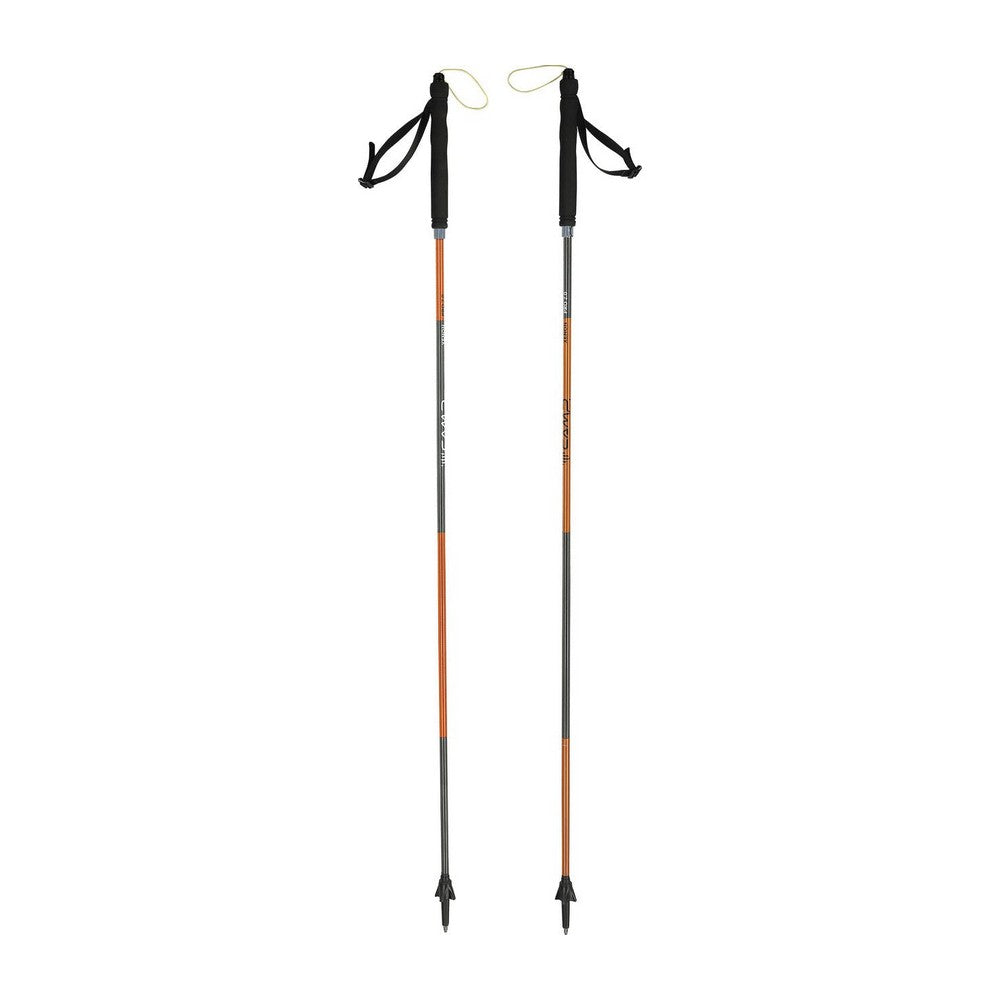 Bâtons de marche Camp Xenon Pro 2.0