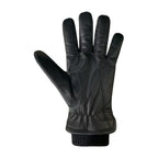 Auclair M's Aiden Gloves
