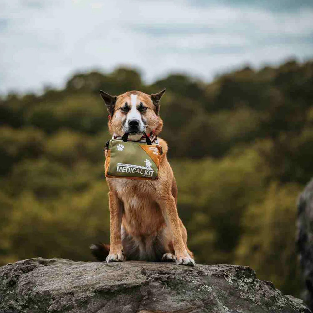 Trousse de premiers soins Adventure Medical Kit Trail Dog