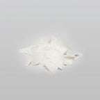 Adventure Ready Biodegradable Soap Flakes