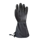 Gants Auclair Back Country (hommes)