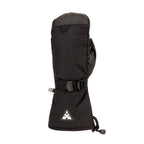 Mitaines Auclair Back Country (hommes)