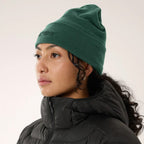 Tuque Arc'teryx Word