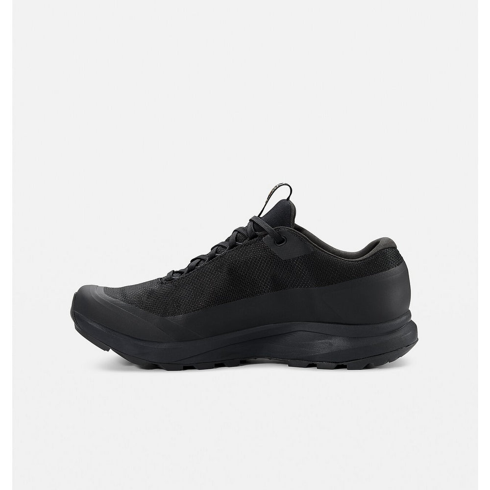 Arc'teryx W's Aerios FL 2 GTX Hiking Shoes
