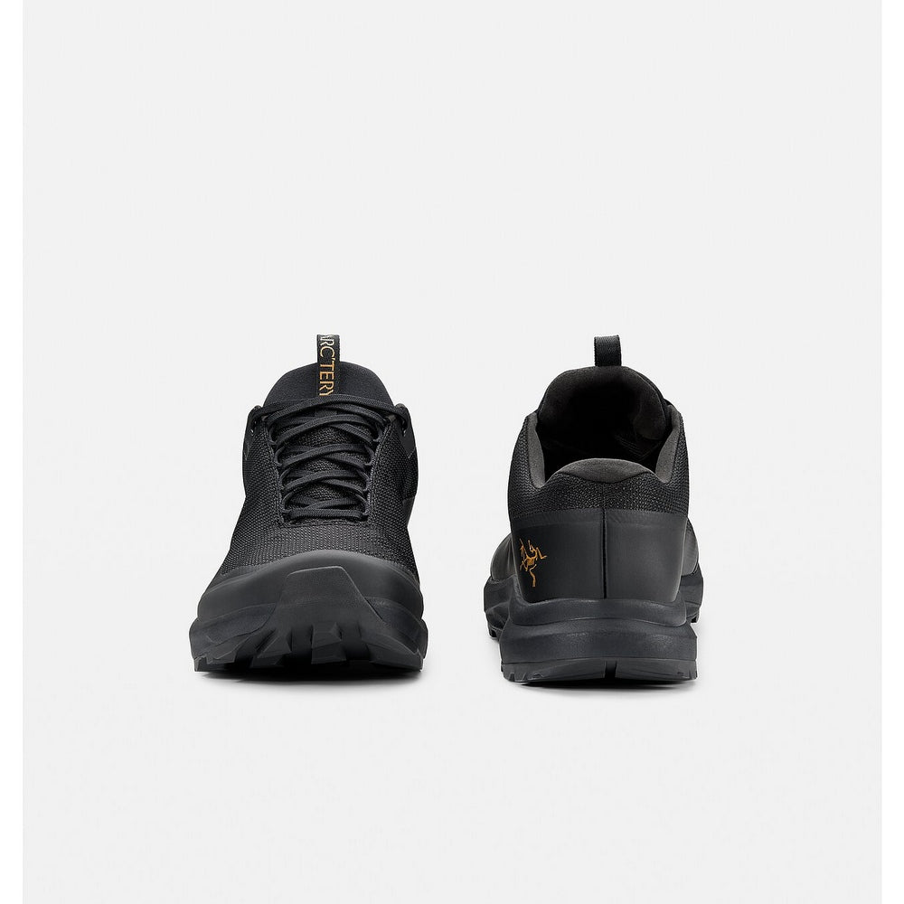 Arc'teryx W's Aerios FL 2 GTX Hiking Shoes