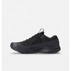 Souliers de randonnée Arc'teryx Aerios FL 2 GTX (hommes)