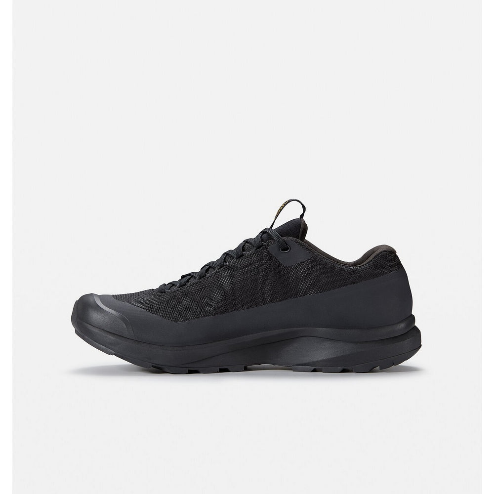 Souliers de randonnée Arc'teryx Aerios FL 2 GTX (hommes)