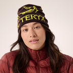 Tuque Arc'teryx Bird Word
