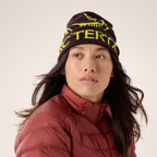 Tuque Arc'teryx Bird Word