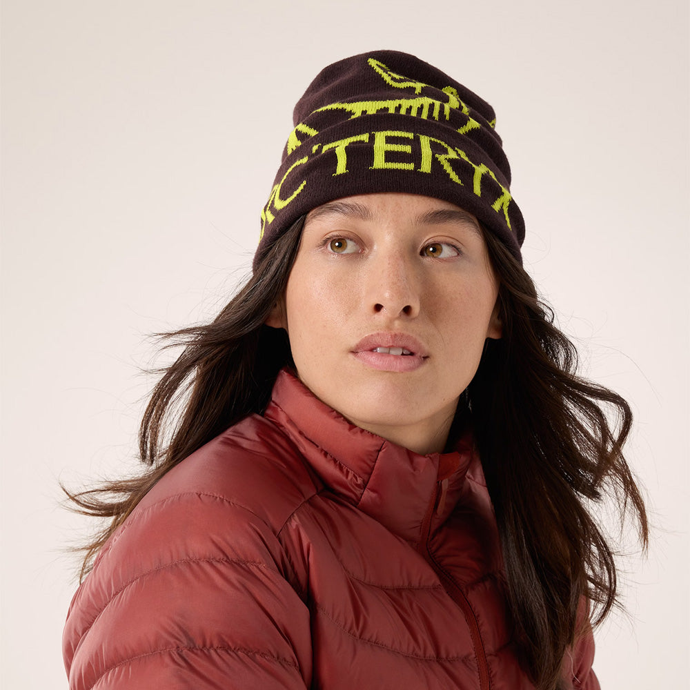 Tuque Arc'teryx Bird Word
