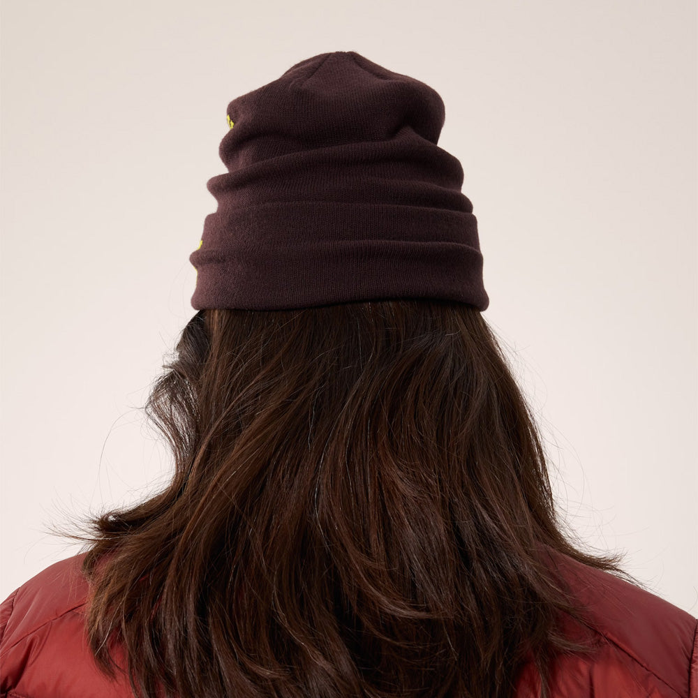 Tuque Arc'teryx Bird Word