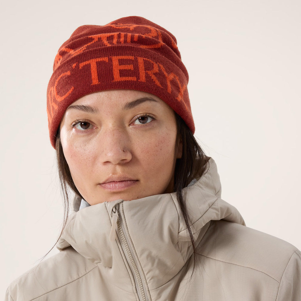 Tuque Arc'teryx Bird Word