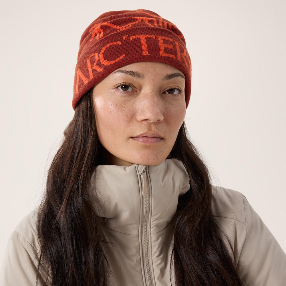 Tuque Arc'teryx Bird Word