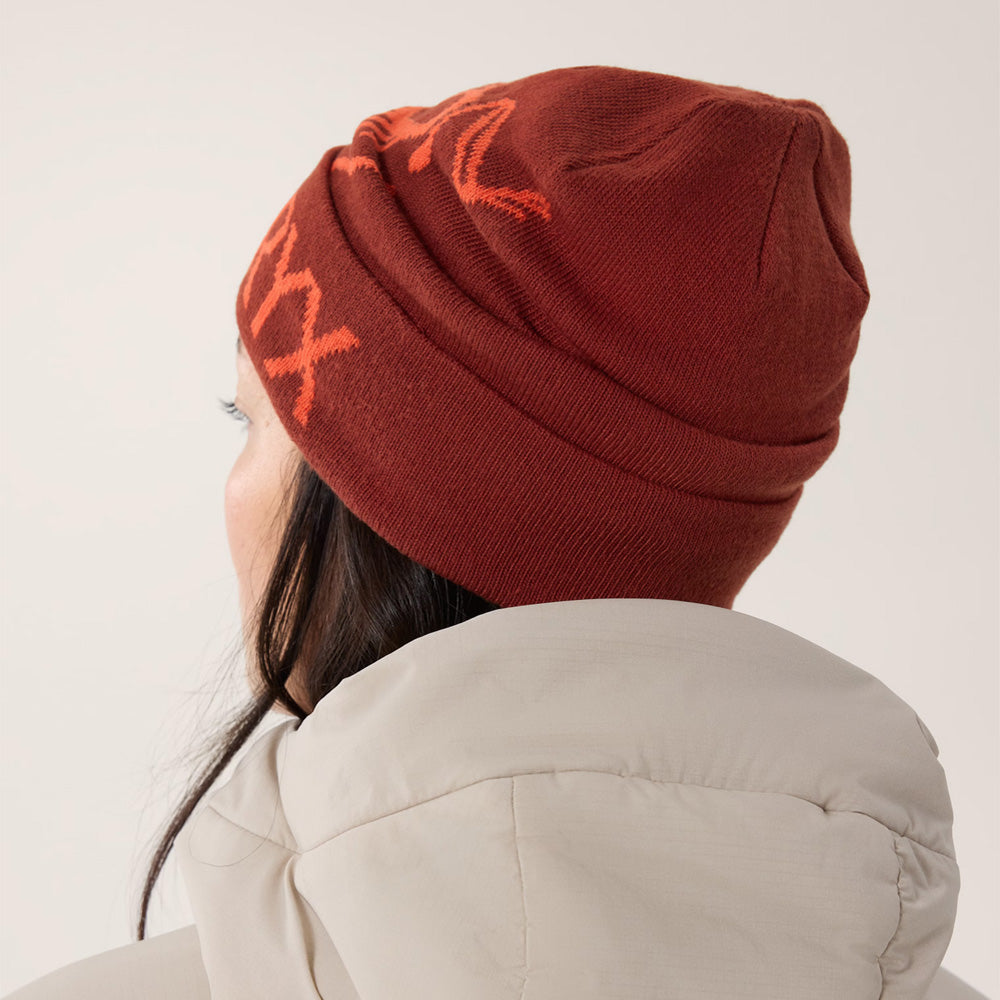 Tuque Arc'teryx Bird Word