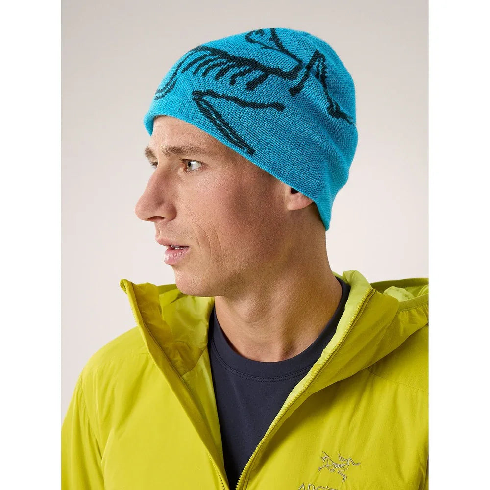 Tuque Arc'teryx Bird Head