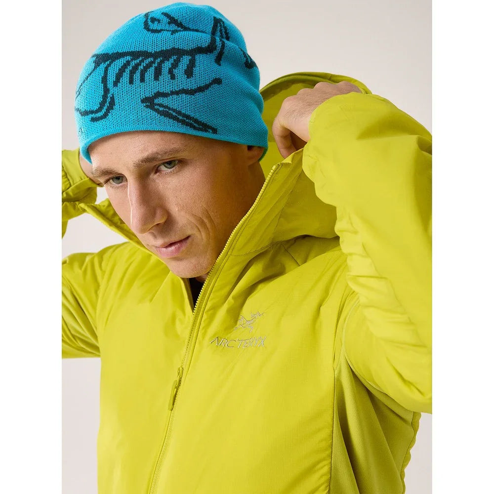 Tuque Arc'teryx Bird Head