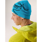 Tuque Arc'teryx Bird Head