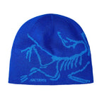 Tuque Arc'teryx Bird Head
