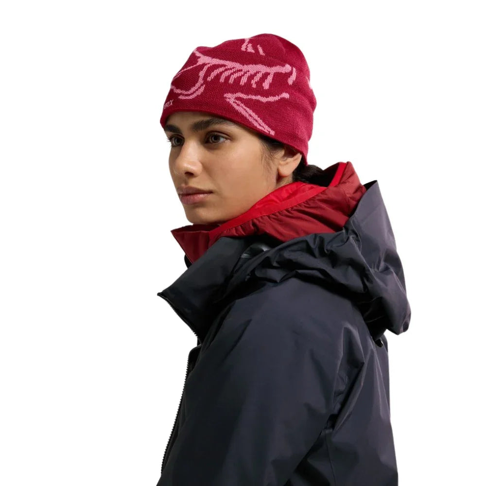 Tuque Arc'teryx Bird Head