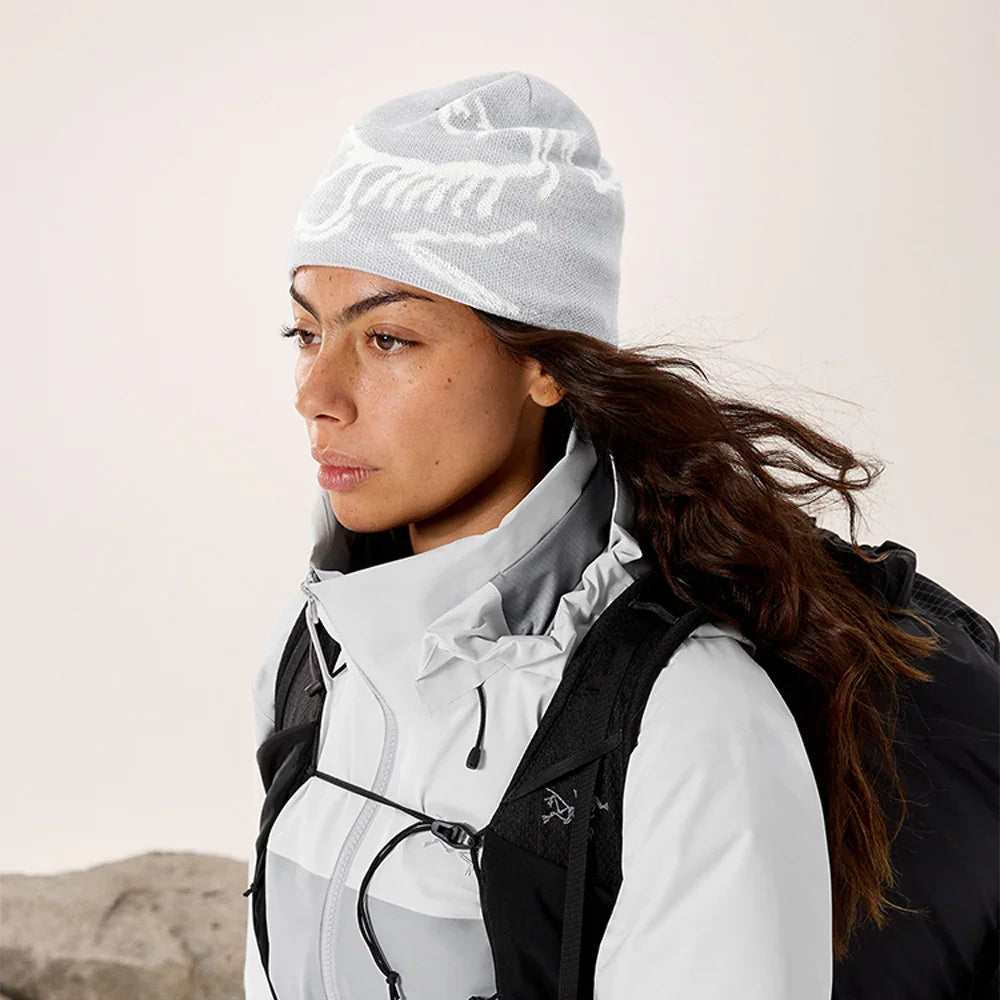 Tuque Arc'teryx Bird Head