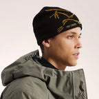Tuque Arc'teryx Bird Head