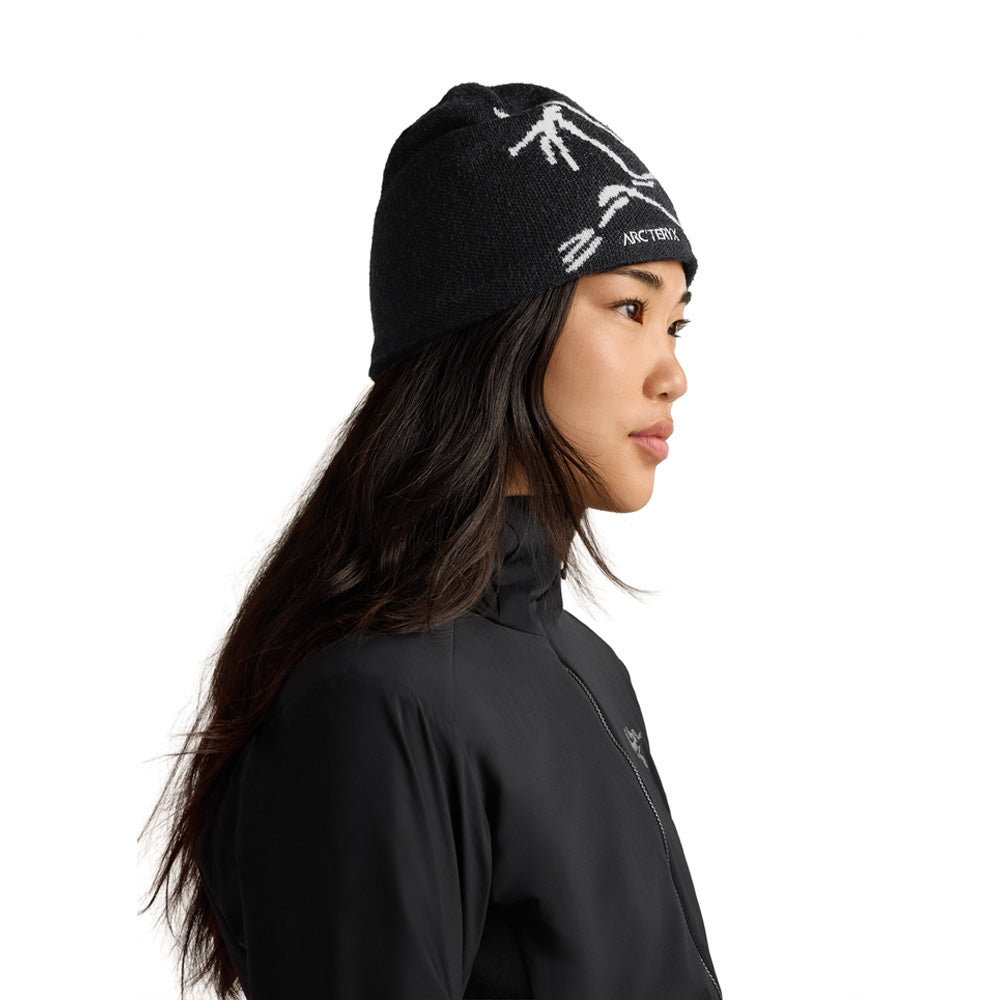 Arc'teryx Bird Head Beanie