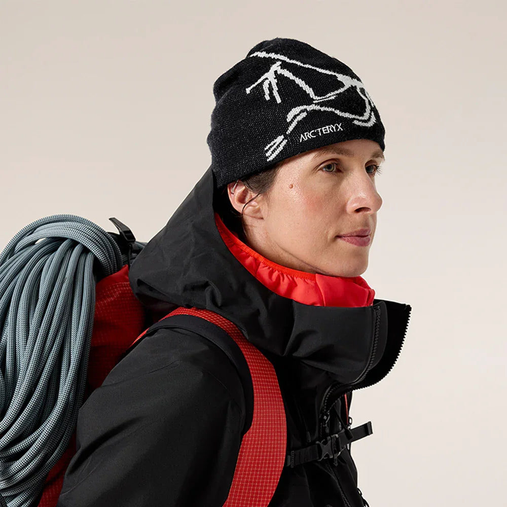 Tuque Arc'teryx Bird Head