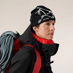 Tuque Arc'teryx Bird Head