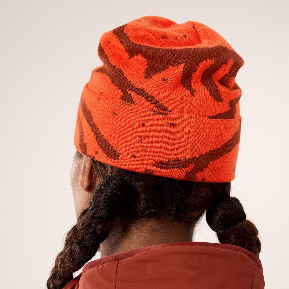 Tuque Arc'teryx Lightweight Grotto