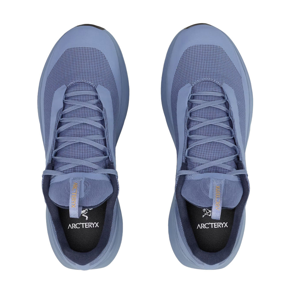 Souliers de course en sentier Arc'teryx Norvan LD 4 GTX (hommes)