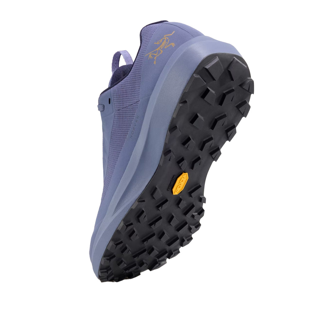 Souliers de course en sentier Arc'teryx Norvan LD 4 GTX (hommes)