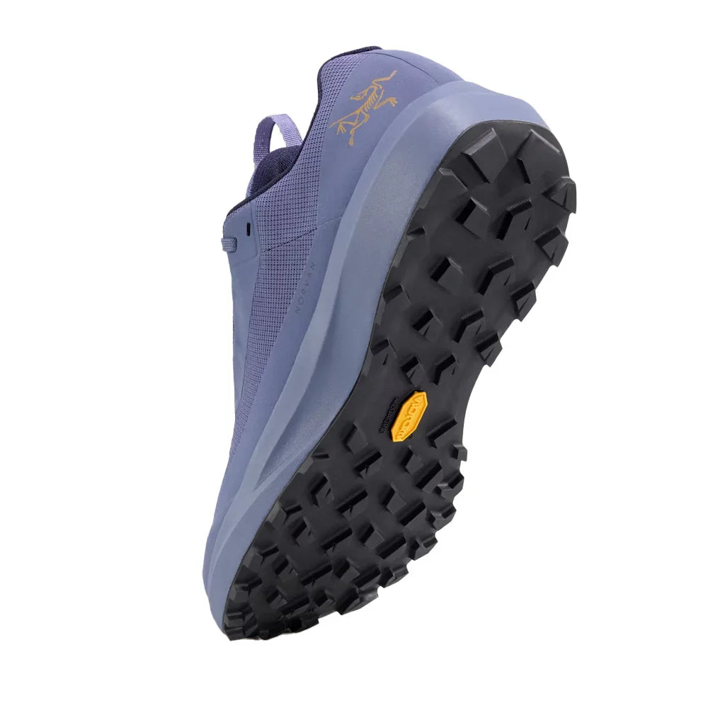 Souliers de course en sentier Arc'teryx Norvan LD 4 GTX (hommes)