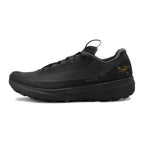 Souliers de course en sentier Arc'teryx Norvan LD 4 GTX (hommes)