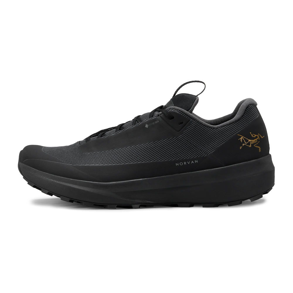 Souliers de course en sentier Arc'teryx Norvan LD 4 GTX (hommes)