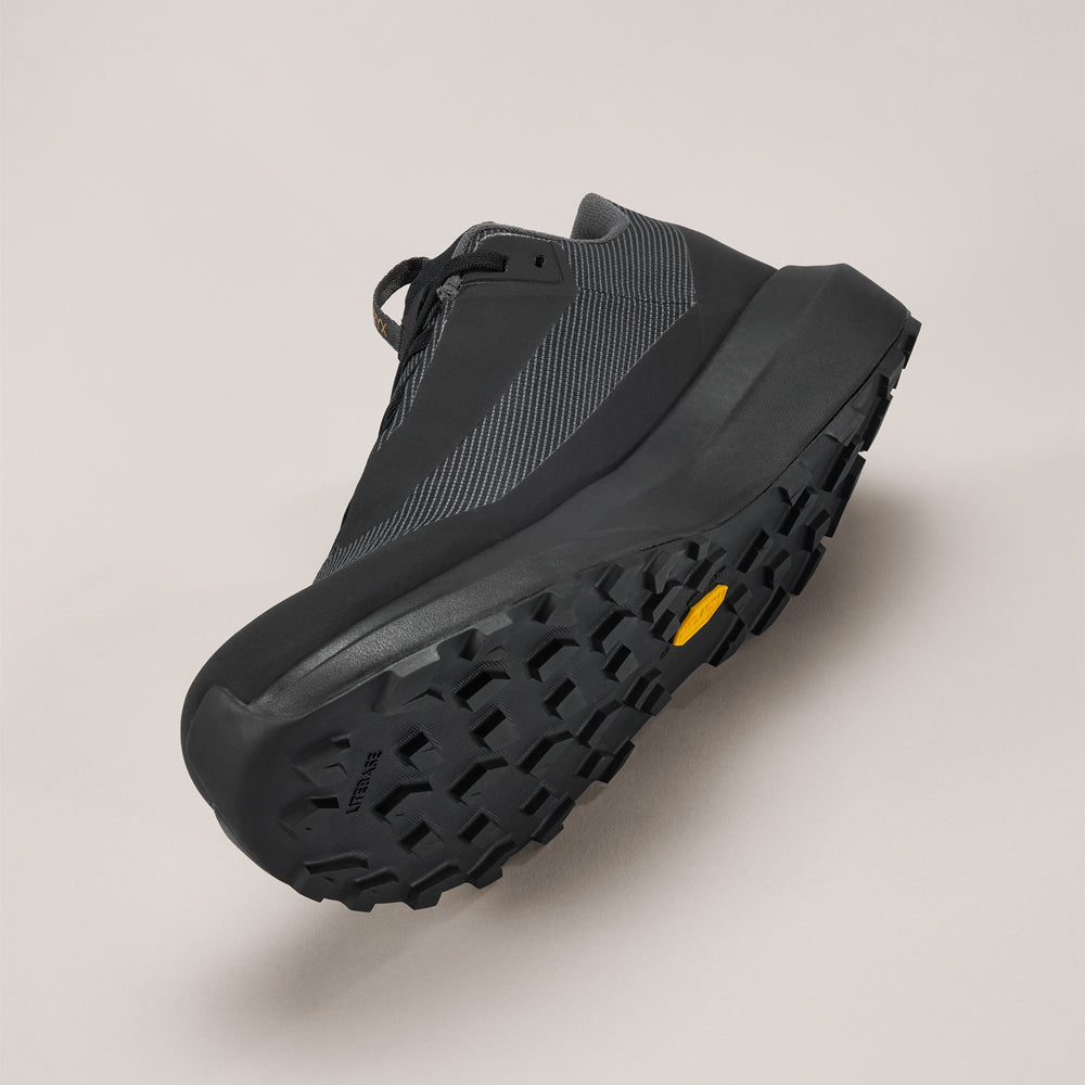 Souliers de course en sentier Arc'teryx Norvan LD 4 GTX (hommes)