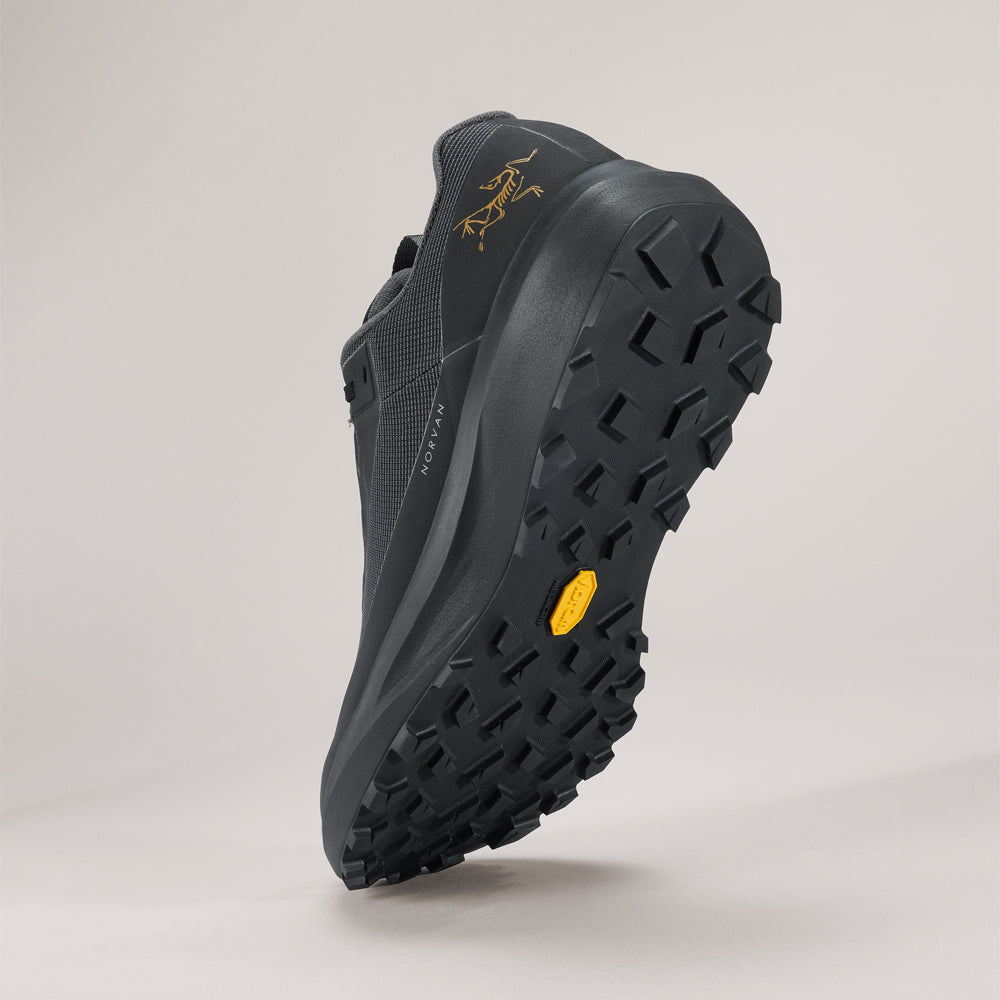 Souliers de course en sentier Arc'teryx Norvan LD 4 GTX (hommes)